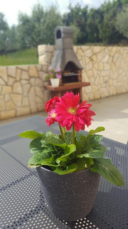 Apartmani "Sandro" Gonar Rab Town Zewnętrze zdjęcie